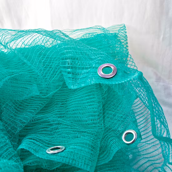 工場の格安価格、建築現場用足場用ロゴメッシュネット付き